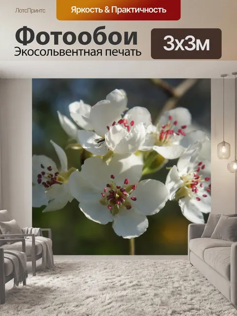 Фотообои Цветок