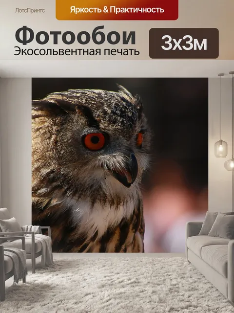 Фотообои Филин