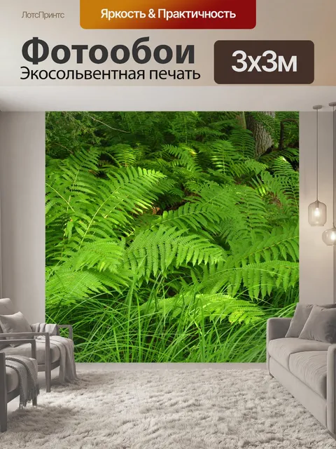 Фотообои Папоротники
