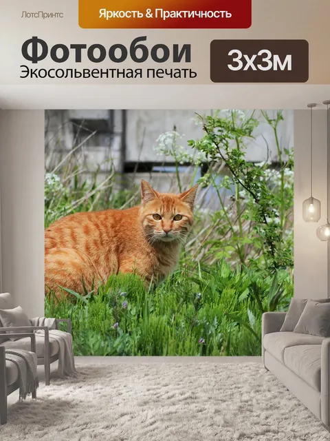 Фотообои Животное
