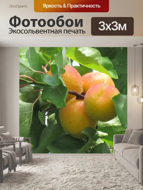 Фотообои Плоды