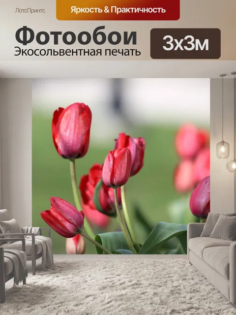 Фотообои Цветы