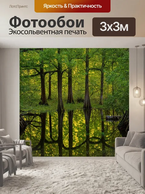 Фотообои лес с большим болотом, отражающие деревья на поверхности