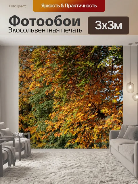 Фотообои Осенние деревья