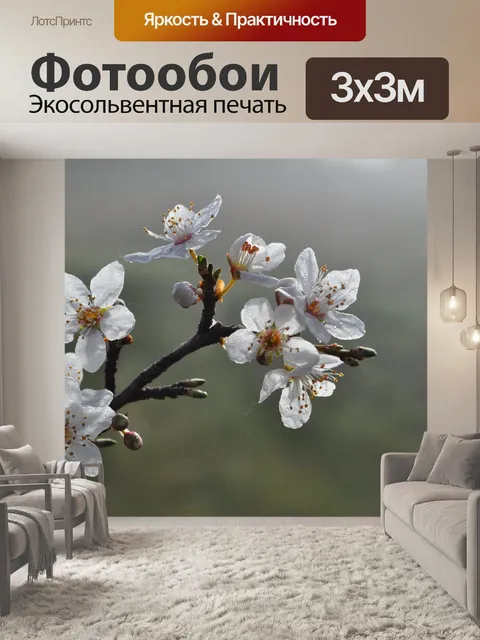 Фотообои Расцвет в тумане