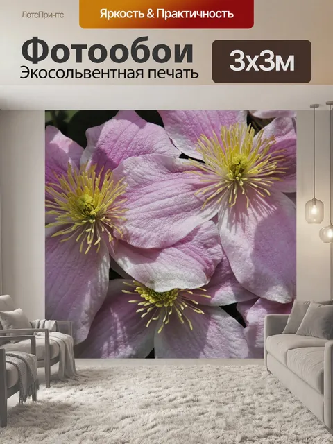 Фотообои Цветы