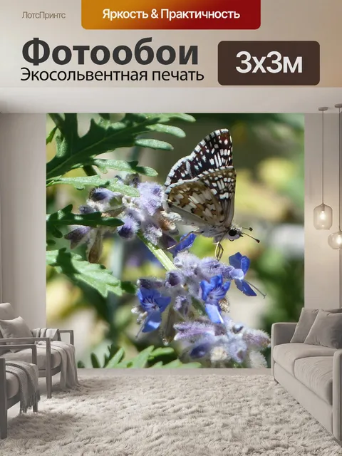Фотообои Бабочка