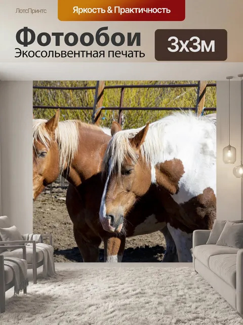 Фотообои лошадь