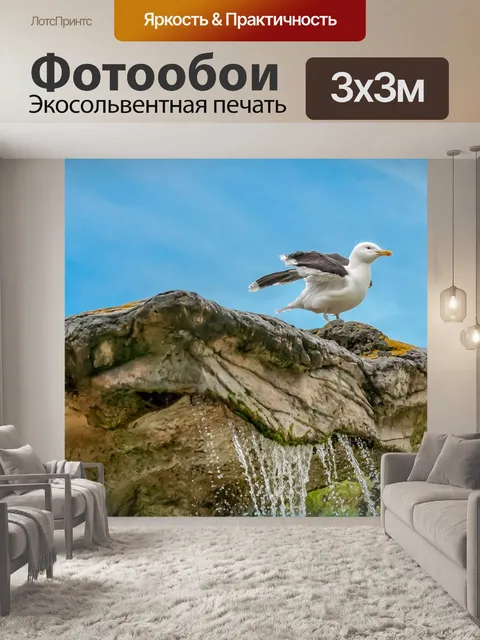 Фотообои Чайка