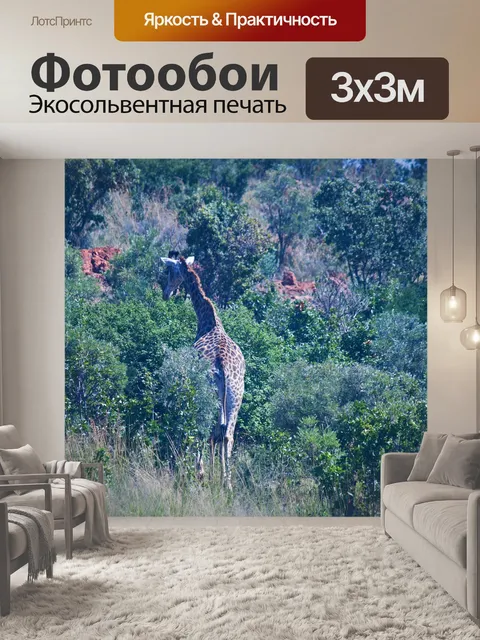 Фотообои высокий жираф сзади в африке