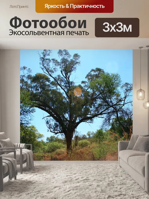 Фотообои Дерево с широкой кроной