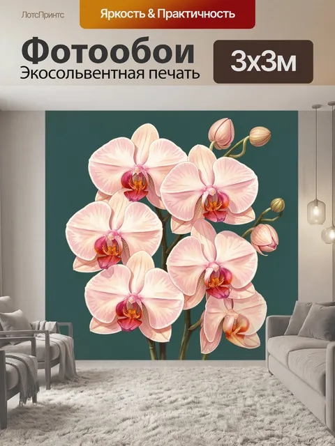 Фотообои Нежные орхидеи на темном фоне