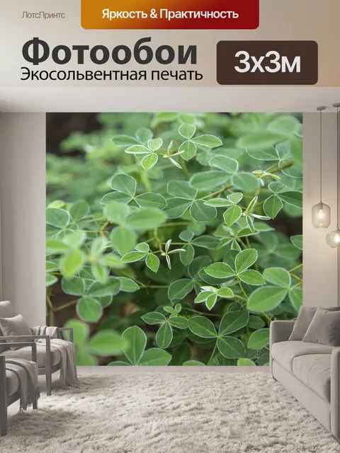 Фотообои Листья