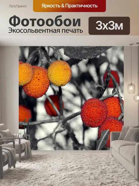 Фотообои Ягоды