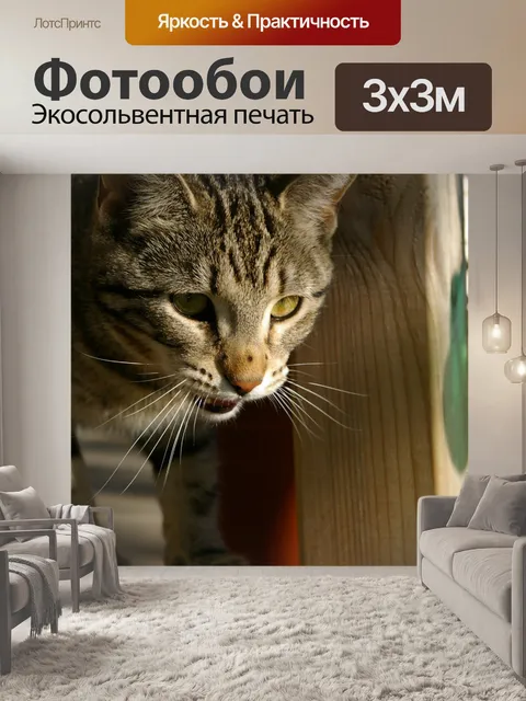 Фотообои Кошка