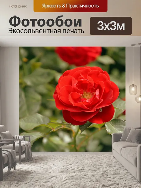 Фотообои Цветок