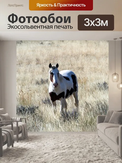 Фотообои Лошади