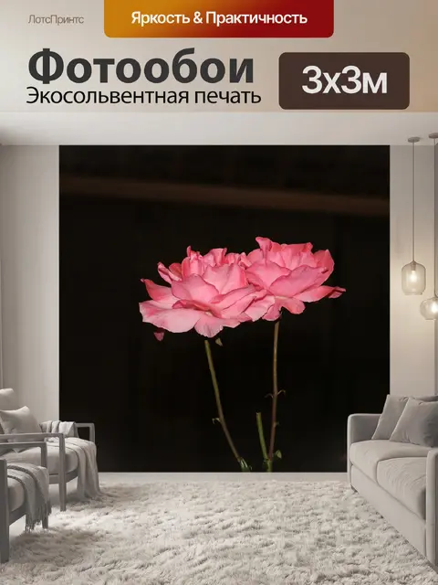 Фотообои Роза