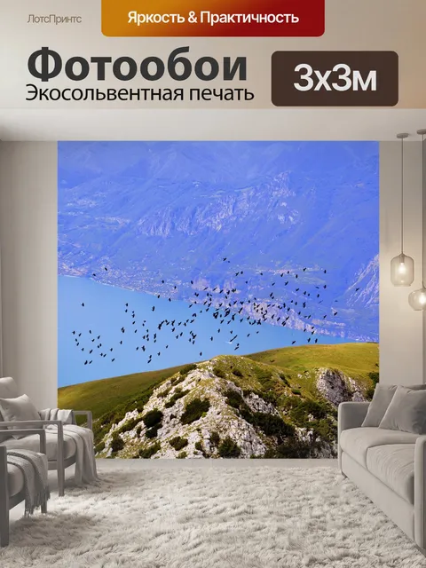 Фотообои Птицы