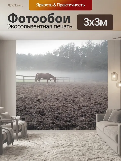Фотообои Лошадь