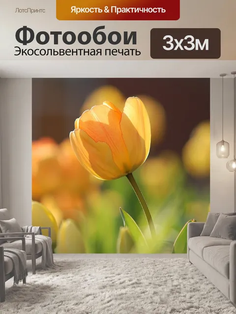Фотообои Тюльпаны