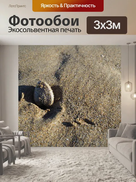 Фотообои Оболочка