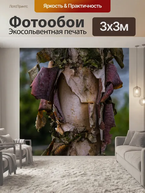 Фотообои Пилинг коры дерева