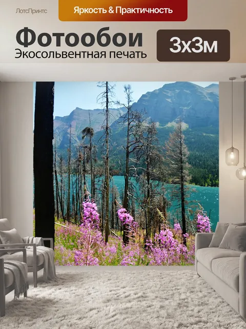 Фотообои Полевые цветы