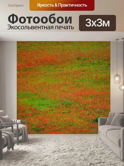 Фотообои Маки