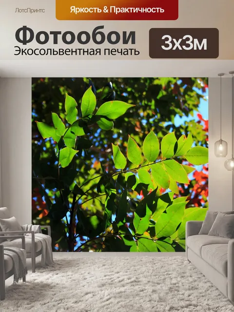 Фотообои полупрозрачные зеленые листья