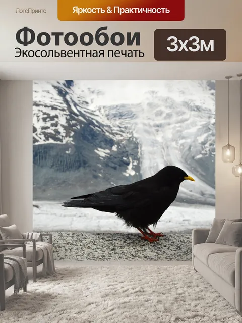 Фотообои Птица