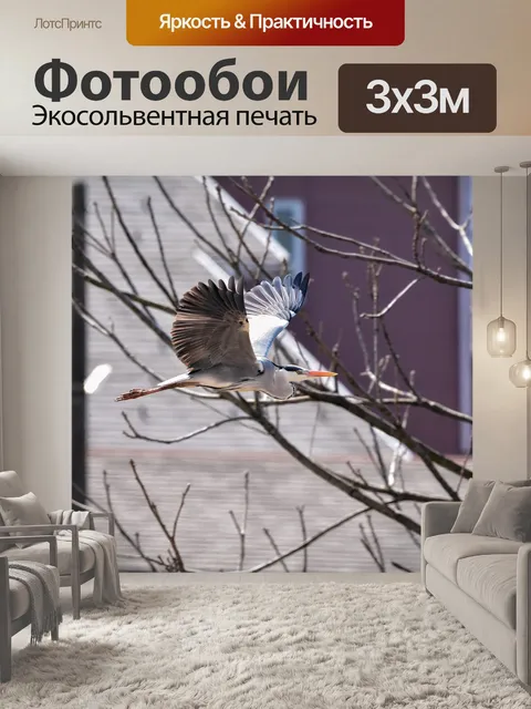Фотообои Животное