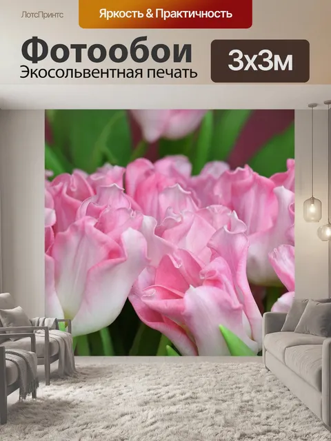 Фотообои Тюльпаны