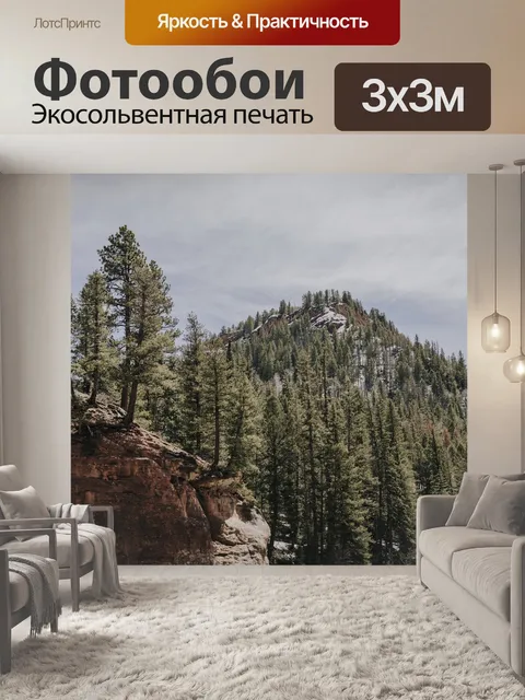 Фотообои Лес