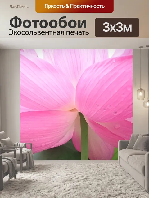 Фотообои Цветы