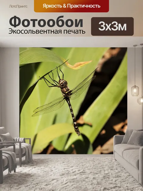 Фотообои Клубничный стрекоза на листьях крупным п