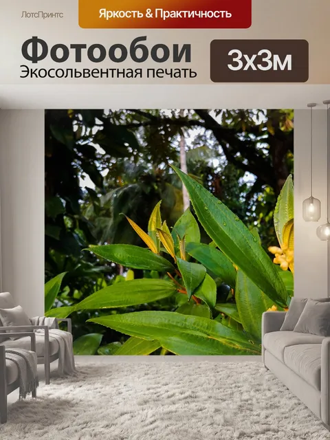 Фотообои Растения