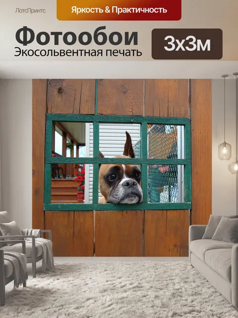 Фотообои Собака