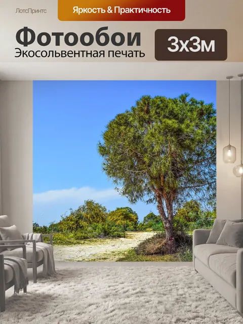Фотообои Дерево