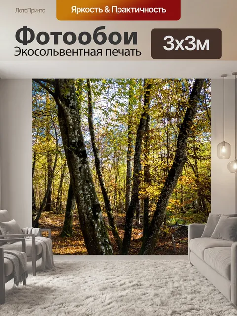 Фотообои Пейзаж
