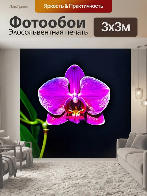 Фотообои орхидея с яркими градиентными цветами кажется неоновым