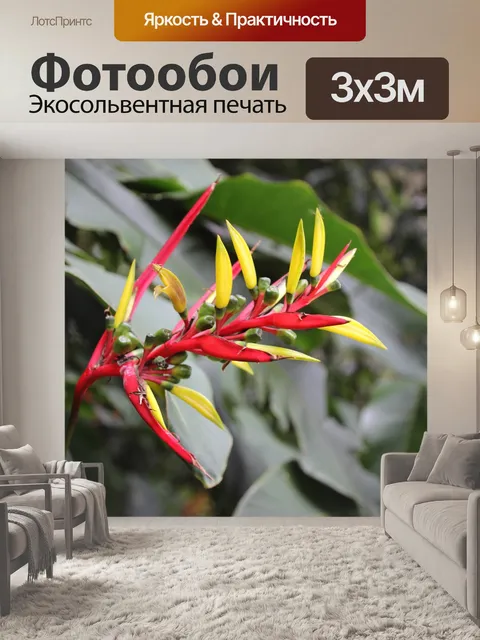 Фотообои Экзотический