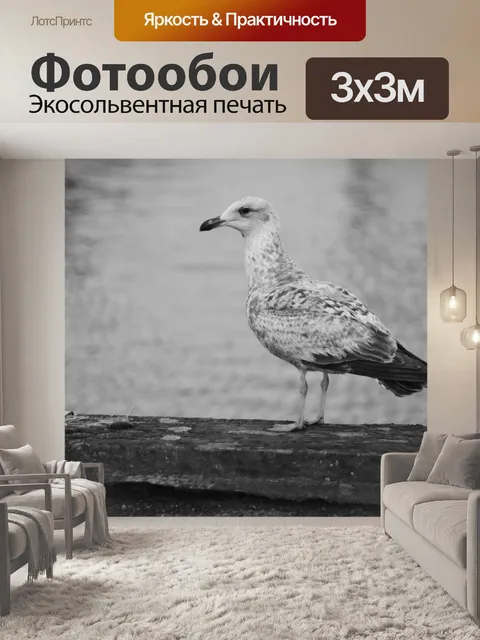 Фотообои Чайка на пристани