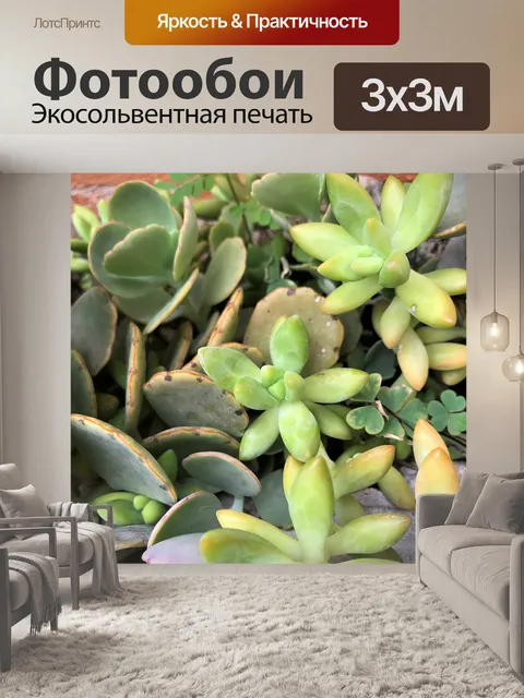 Фотообои Флора