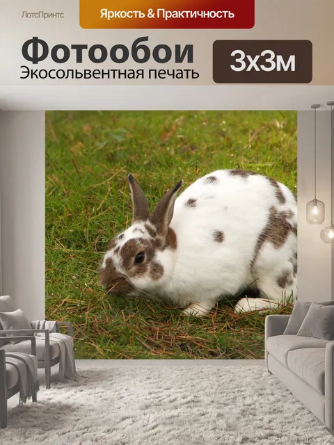 Фотообои Зайчик кролик зайчик пасха