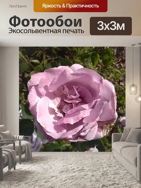 Фотообои Роза