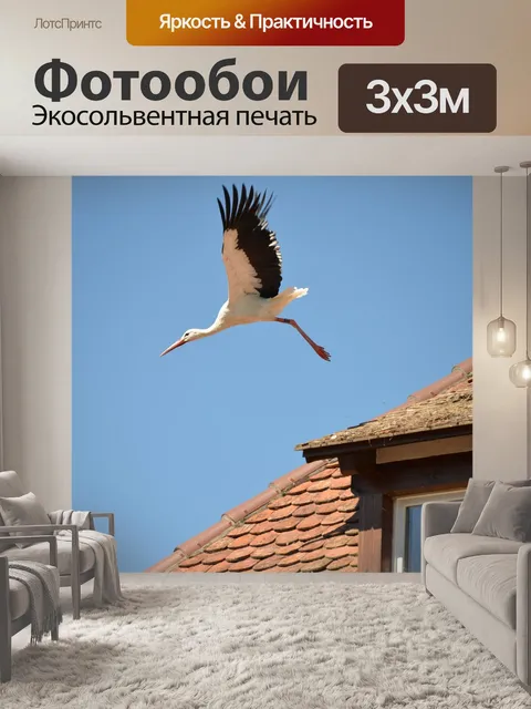 Фотообои Аист