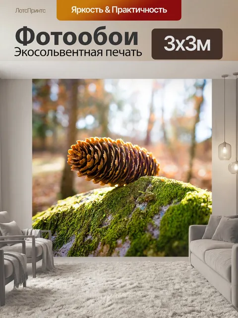 Фотообои Шишка