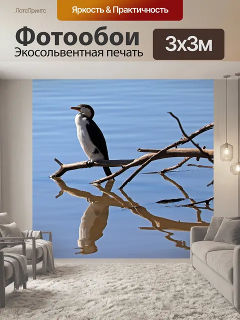 Фотообои Птица