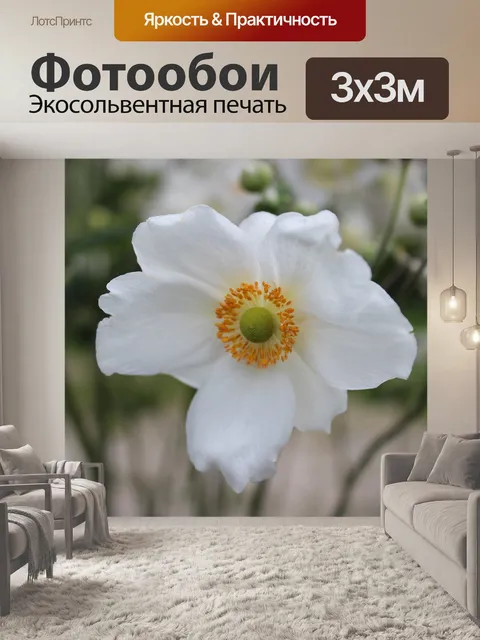 Фотообои Цветы